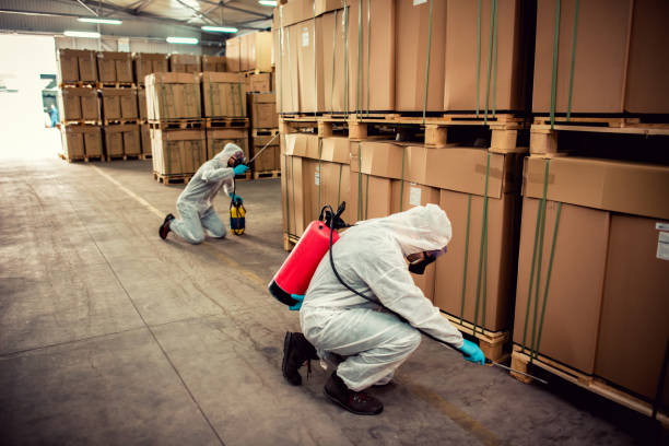 Best Cockroach Control Services  in Longview, TX