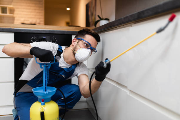 Best Pest Control Near Me  in Longview, TX