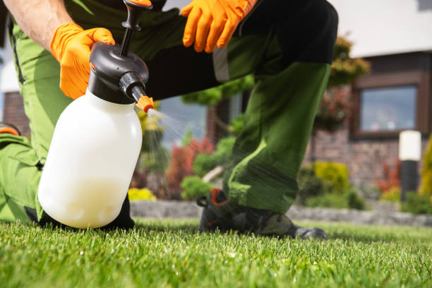 Best Affordable Pest Control Services  in Longview, TX