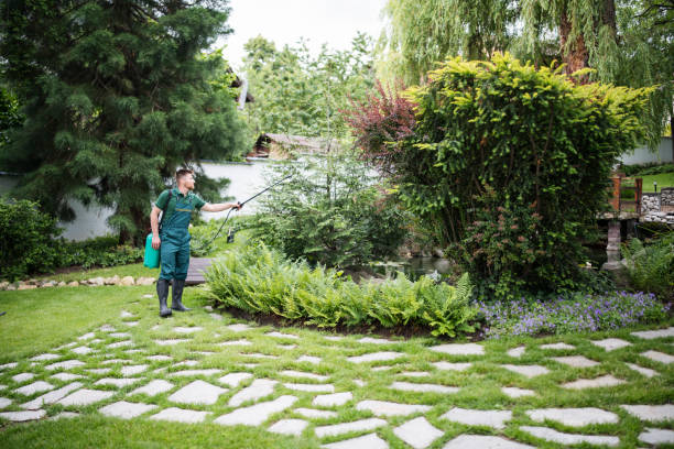 Best Wasp Removal Services  in Longview, TX
