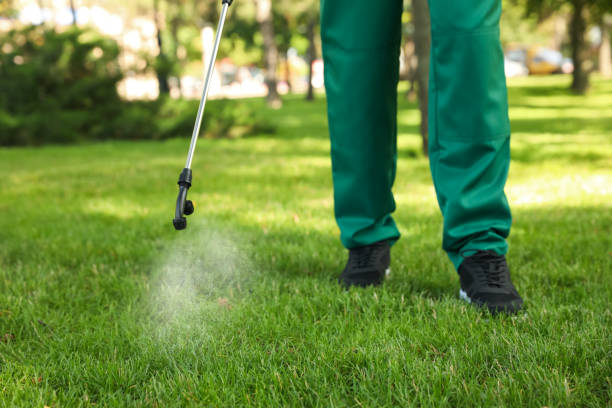 Best Pest Control for Homes  in Longview, TX