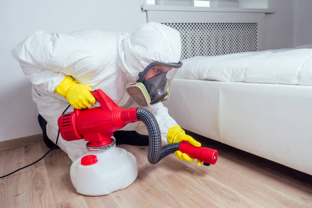 Best Affordable Pest Control Services  in Longview, TX