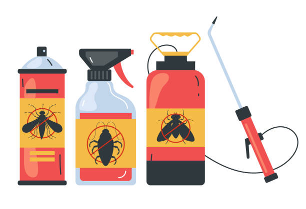 Best Flea Control Services  in Longview, TX