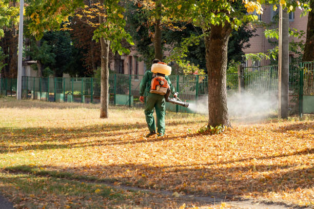 Best Pest Control Near Me  in Longview, TX