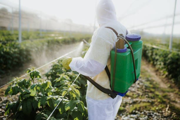 Best Mosquito Control Services  in Longview, TX